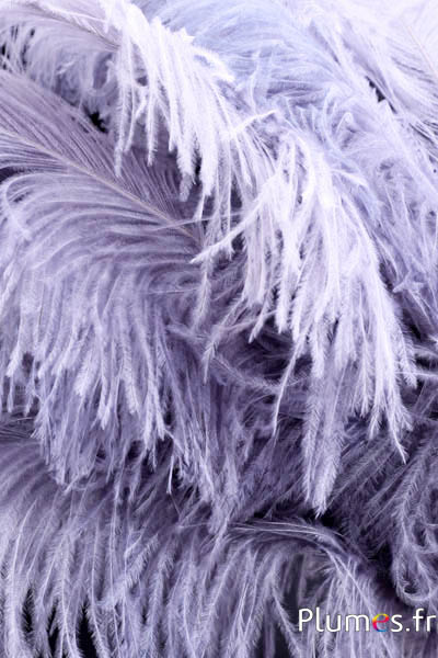 Autruche premium - 50-60 cm - gris